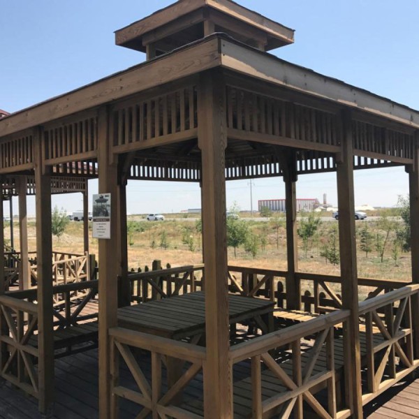 Kamelya, Pergola ve Ahşap Yapı Uygulamaları