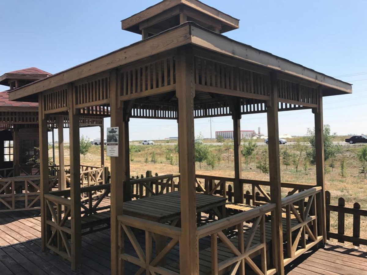 Kamelya, Pergola ve Ahşap Yapı Uygulamaları